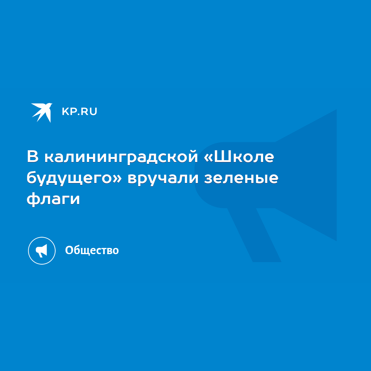 В калининградской «Школе будущего» вручали зеленые флаги - KP.RU