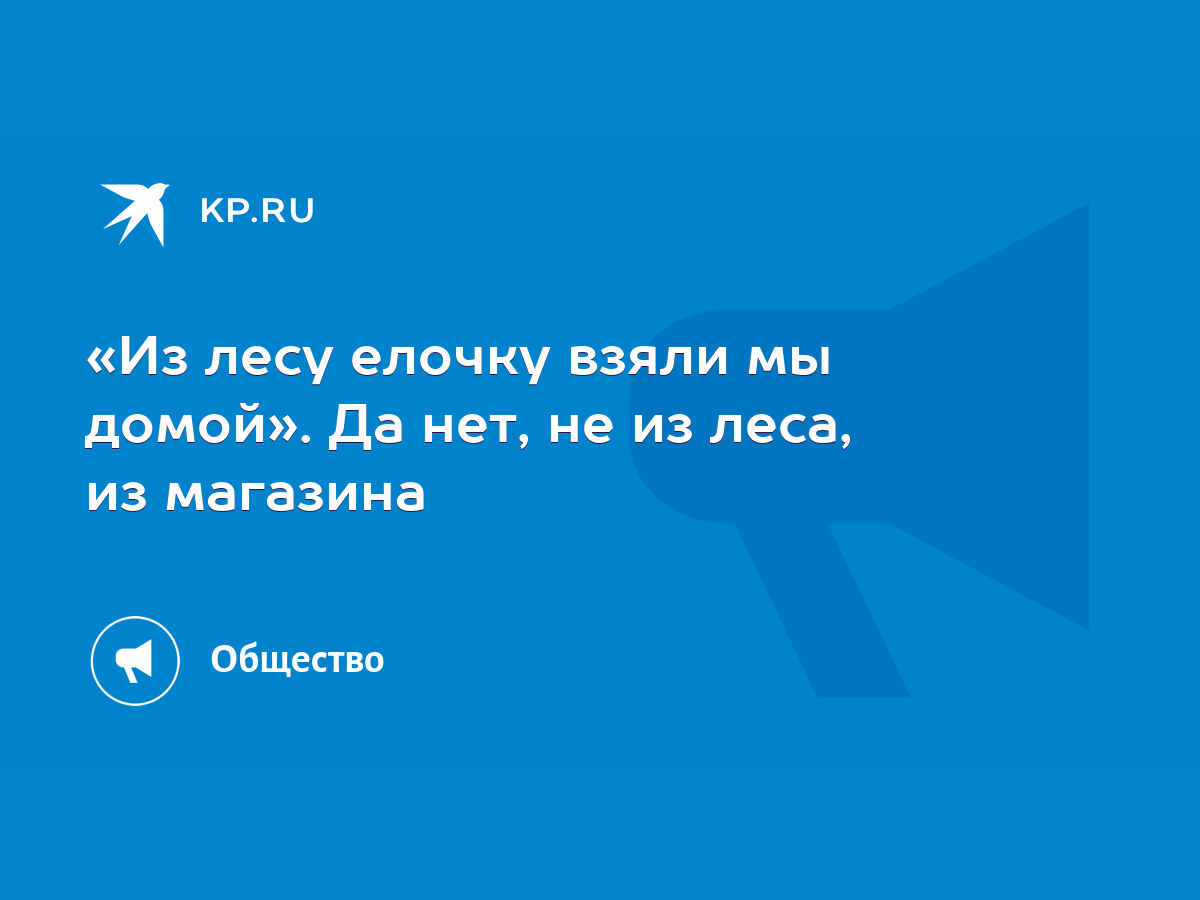 Из лесу елочку взяли мы домой». Да нет, не из леса, из магазина - KP.RU