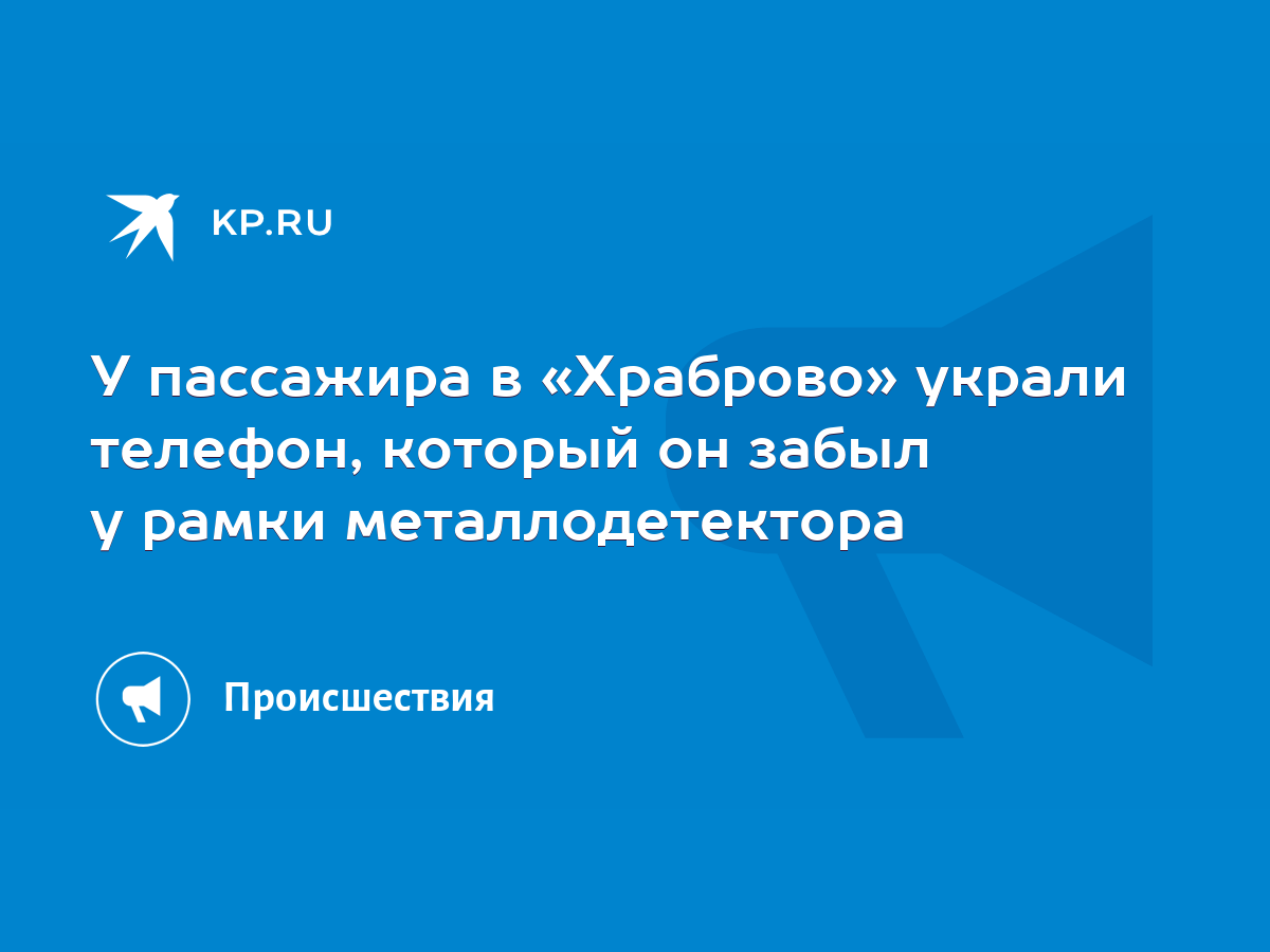 У пассажира в «Храброво» украли телефон, который он забыл у рамки  металлодетектора - KP.RU