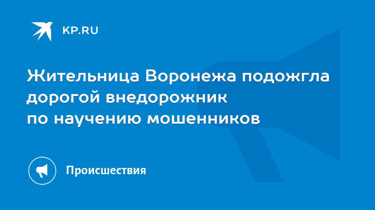 Жительница Воронежа подожгла дорогой внедорожник по научению мошенников -  KP.RU