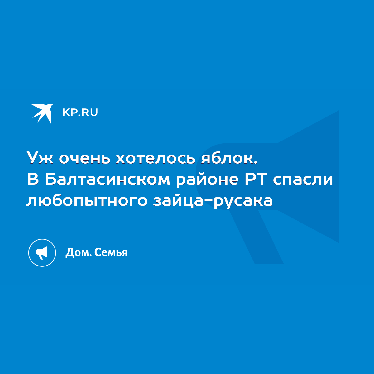 Уж очень хотелось яблок. В Балтасинском районе РТ спасли любопытного  зайца-русака - KP.RU