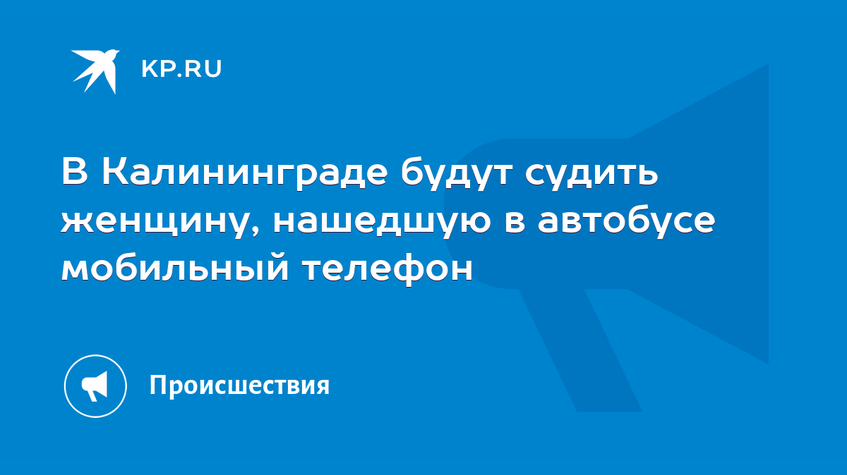 В Калининграде будут судить женщину, нашедшую в автобусе мобильный телефон  - KP.RU