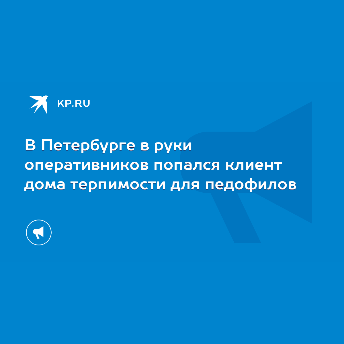 В Петербурге в руки оперативников попался клиент дома терпимости для  педофилов - KP.RU