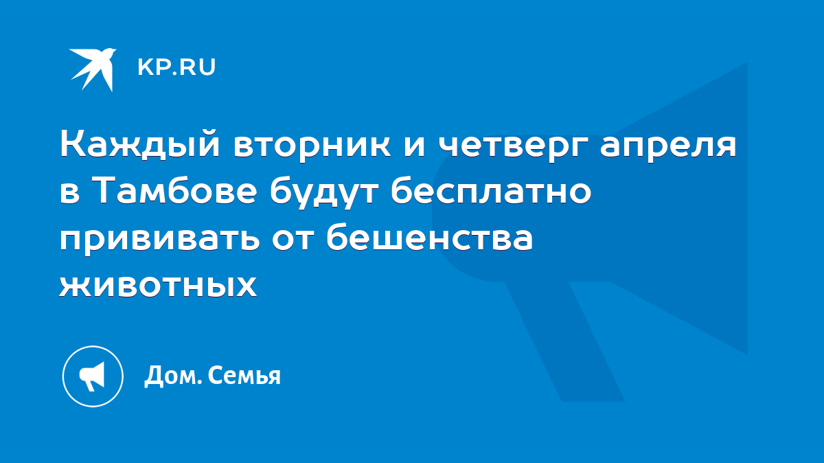 Каждый вторник и четверг апреля в Тамбове будут бесплатно прививать от  бешенства животных - KP.RU