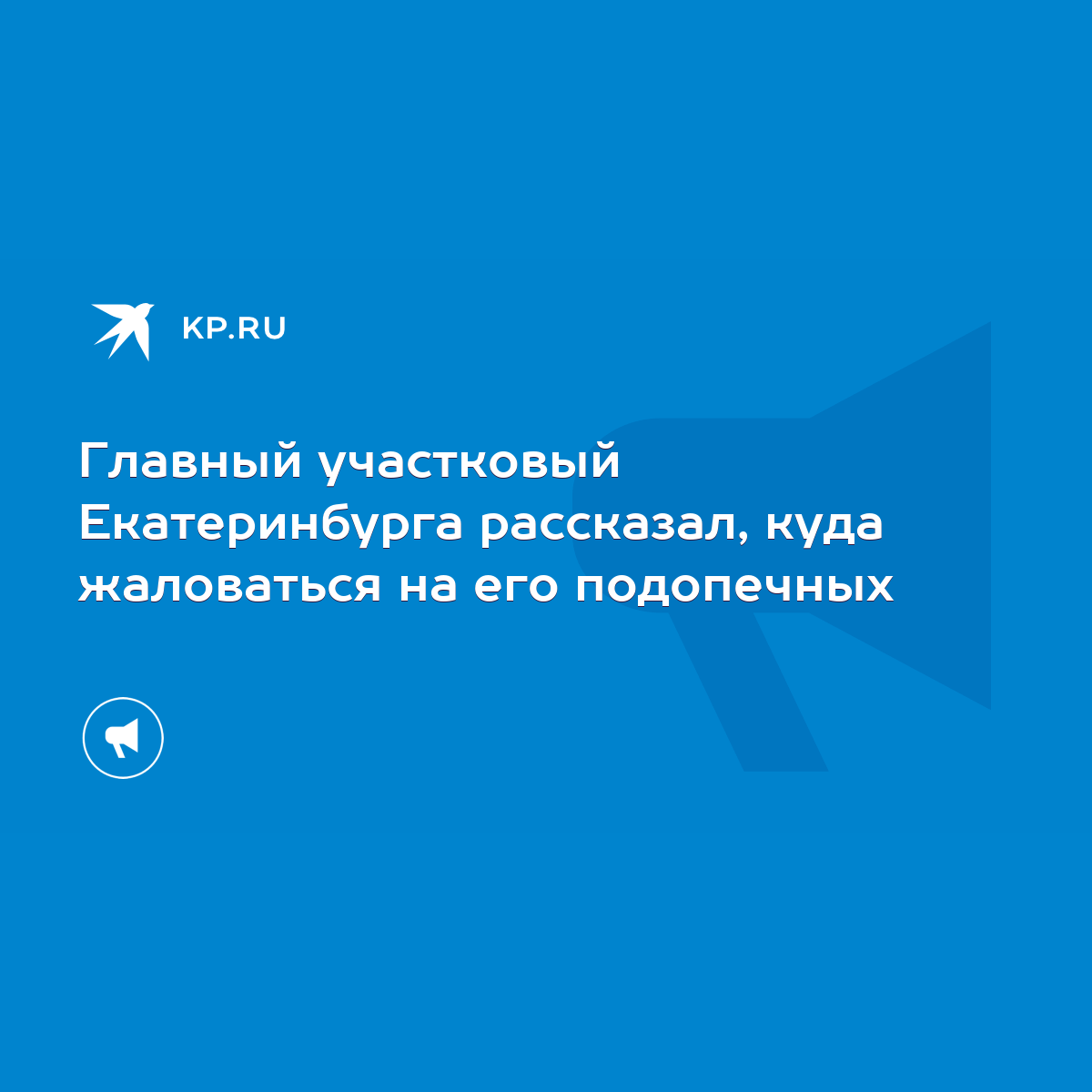 Главный участковый Екатеринбурга рассказал, куда жаловаться на его  подопечных - KP.RU