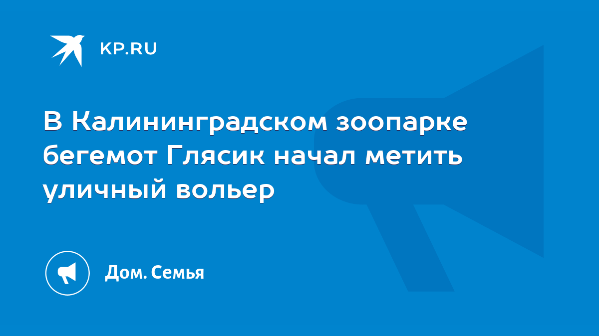 В Калининградском зоопарке бегемот Глясик начал метить уличный вольер -  KP.RU