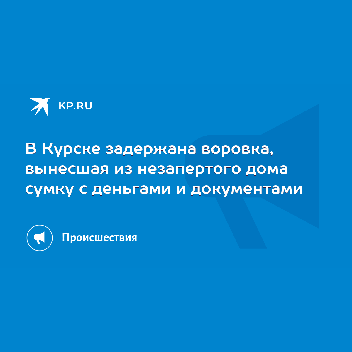 В Курске задержана воровка, вынесшая из незапертого дома сумку с деньгами и  документами - KP.RU