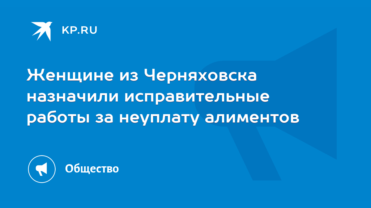 Женщине из Черняховска назначили исправительные работы за неуплату  алиментов - KP.RU