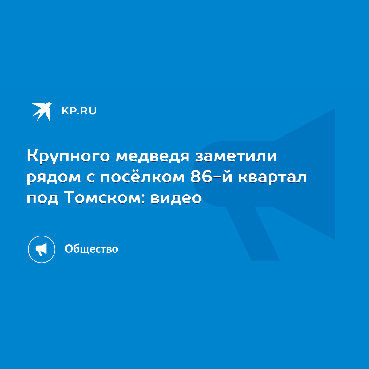 Крупного медведя заметили рядом с посёлком 86-й квартал под Томском: видео  - KP.RU