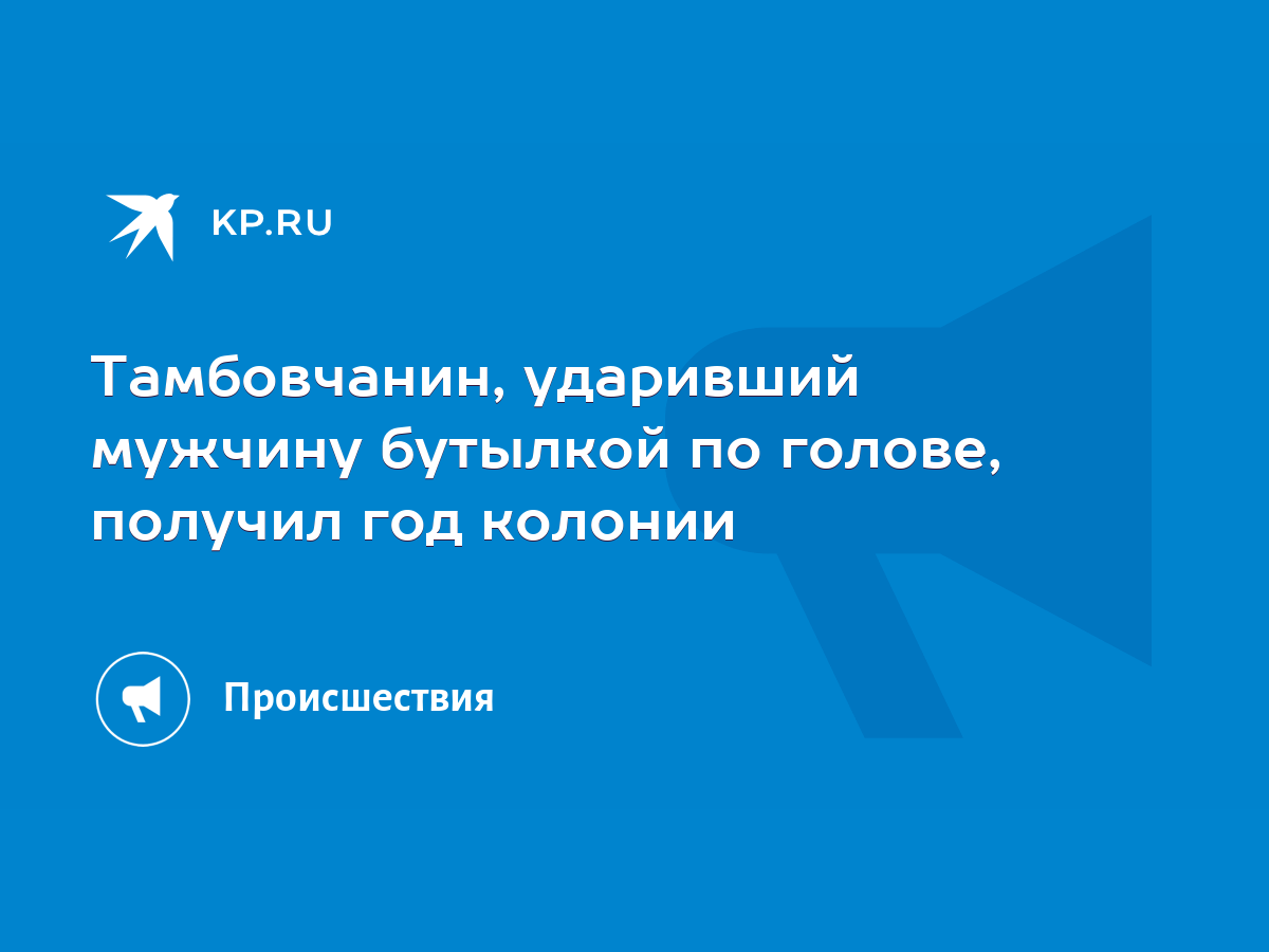 Тамбовчанин, ударивший мужчину бутылкой по голове, получил год колонии -  KP.RU