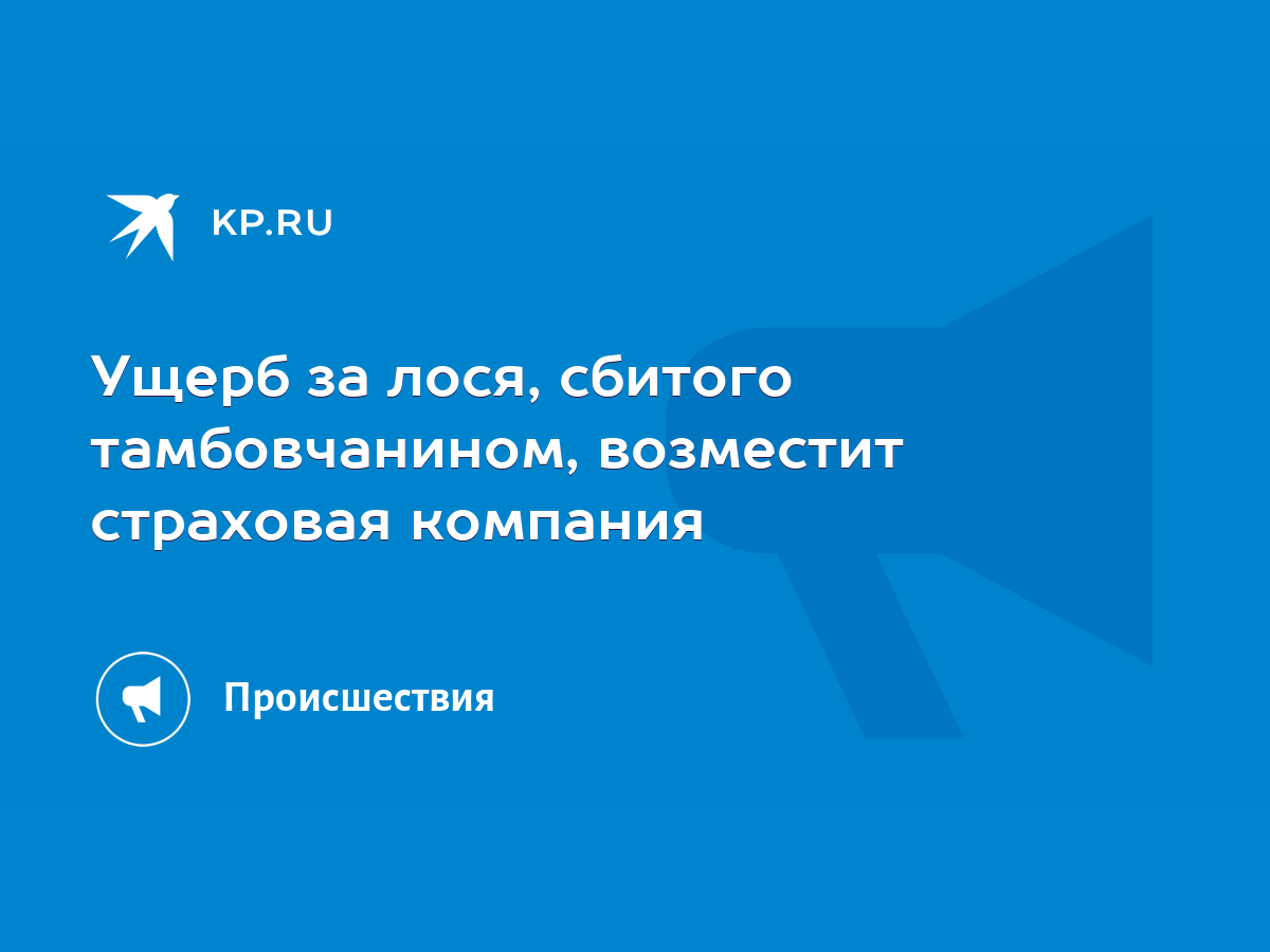 Ущерб за лося, сбитого тамбовчанином, возместит страховая компания - KP.RU