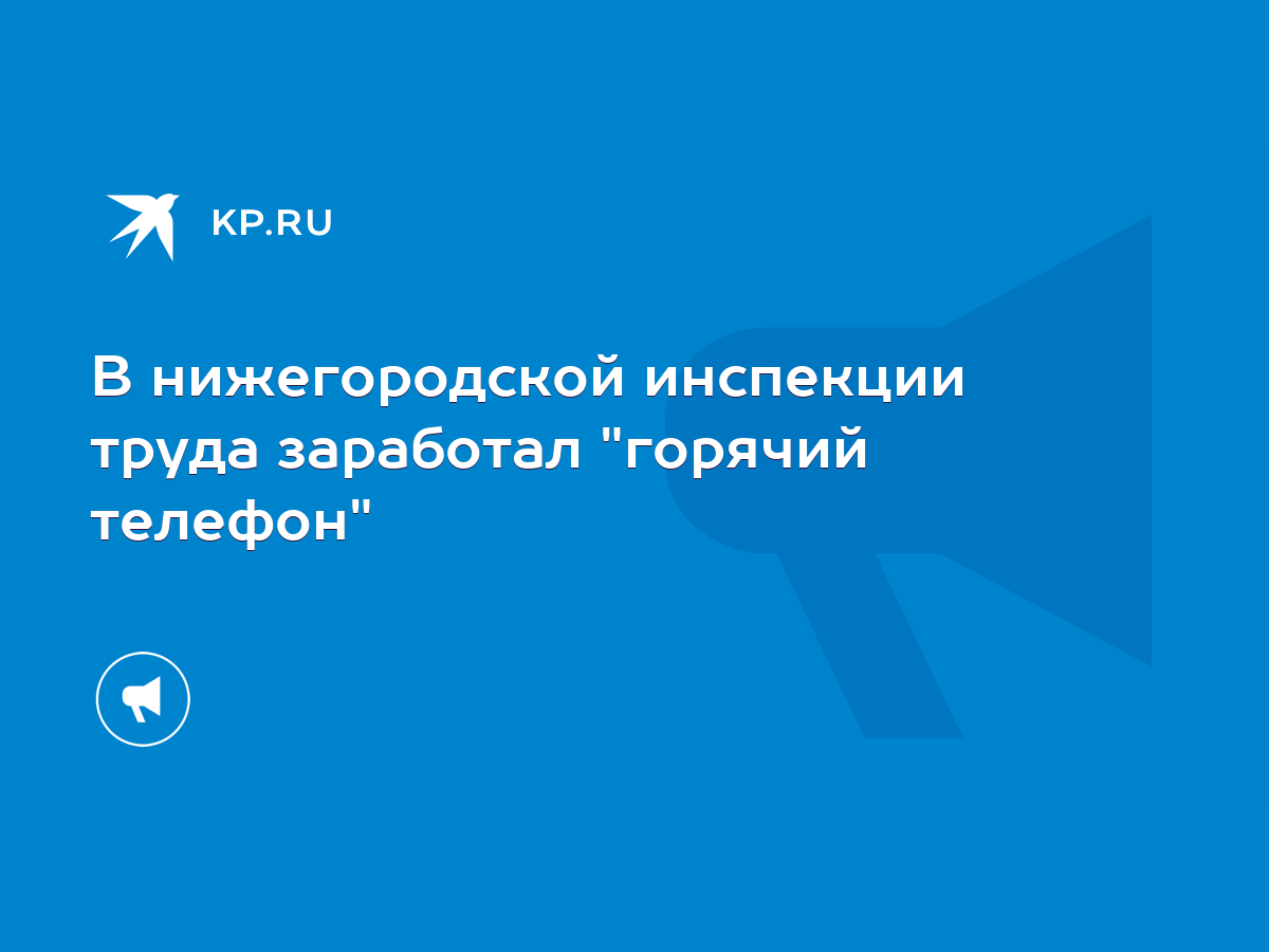 В нижегородской инспекции труда заработал 