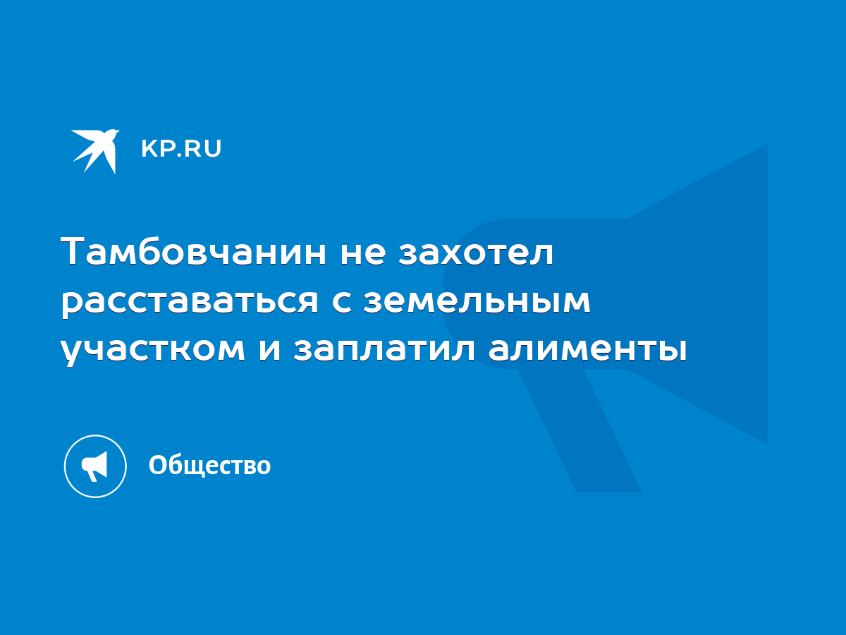 Тамбовчанин не захотел расставаться с земельным участком и заплатил алименты  - KP.RU