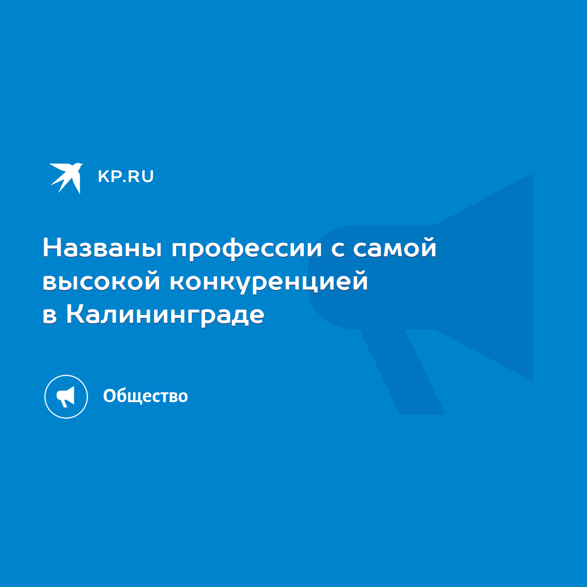 Названы профессии с самой высокой конкуренцией в Калининграде - KP.RU