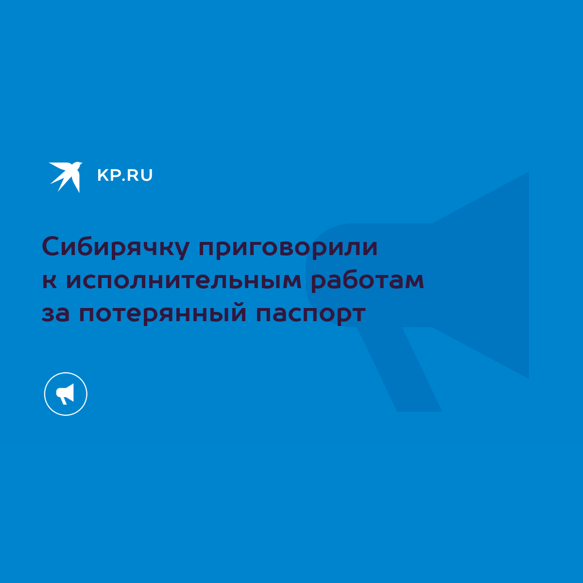 Сибирячку приговорили к исполнительным работам за потерянный паспорт - KP.RU