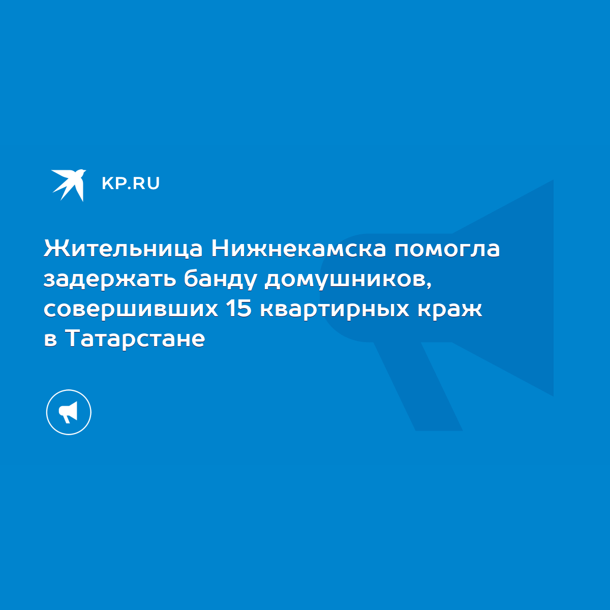 Жительница Нижнекамска помогла задержать банду домушников, совершивших 15  квартирных краж в Татарстане - KP.RU