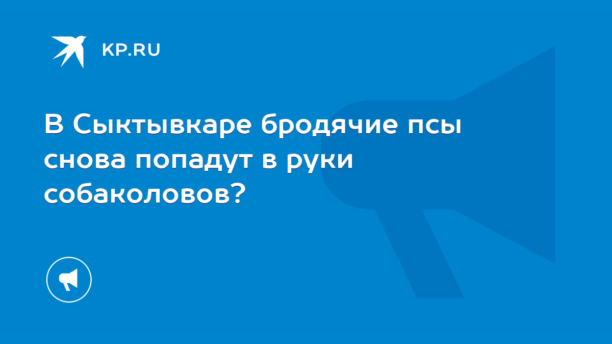 В Сыктывкаре бродячие псы снова попадут в руки собаколовов? - KP.RU