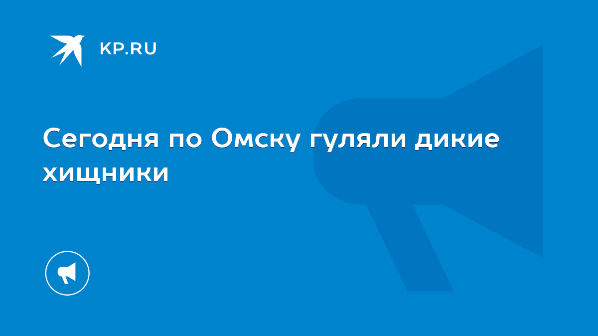 Сегодня по Омску гуляли дикие хищники - KP.RU