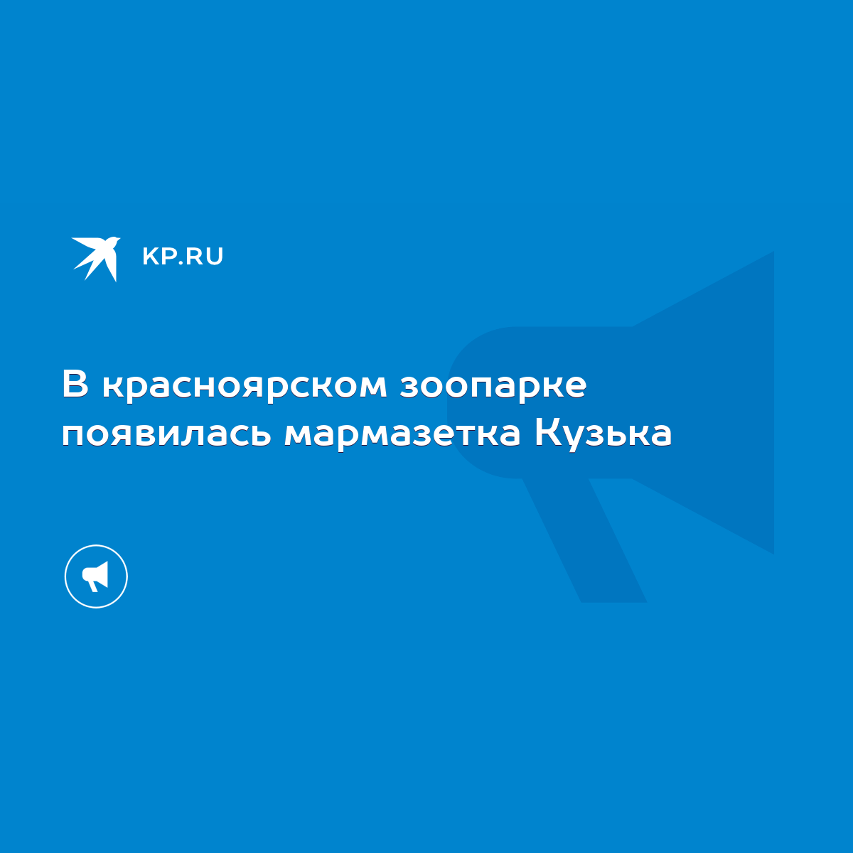 В красноярском зоопарке появилась мармазетка Кузька - KP.RU