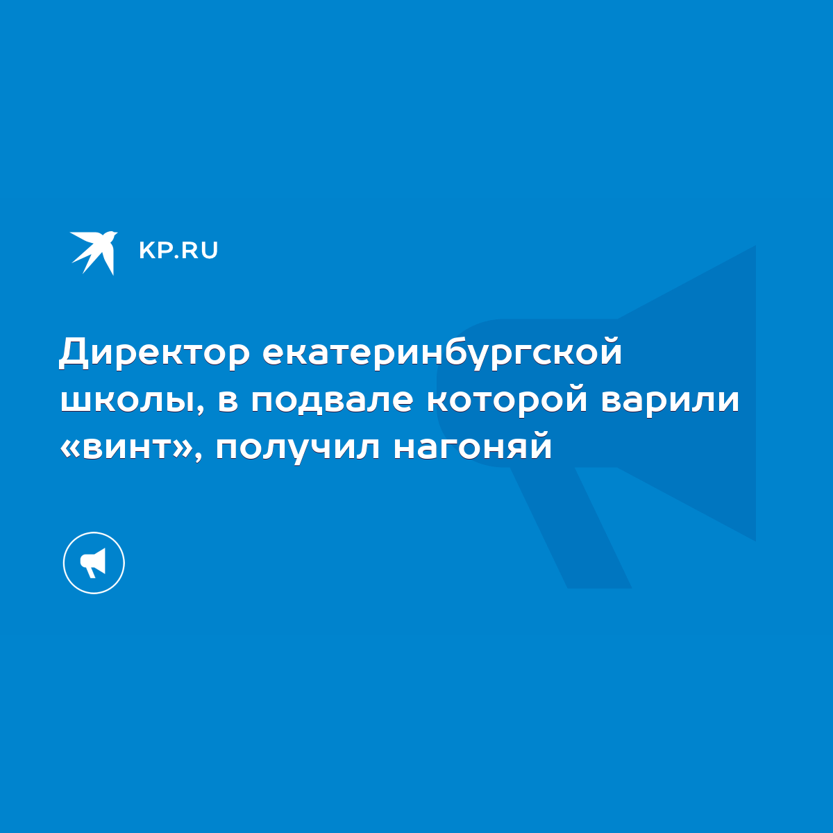 Директор екатеринбургской школы, в подвале которой варили «винт», получил  нагоняй - KP.RU