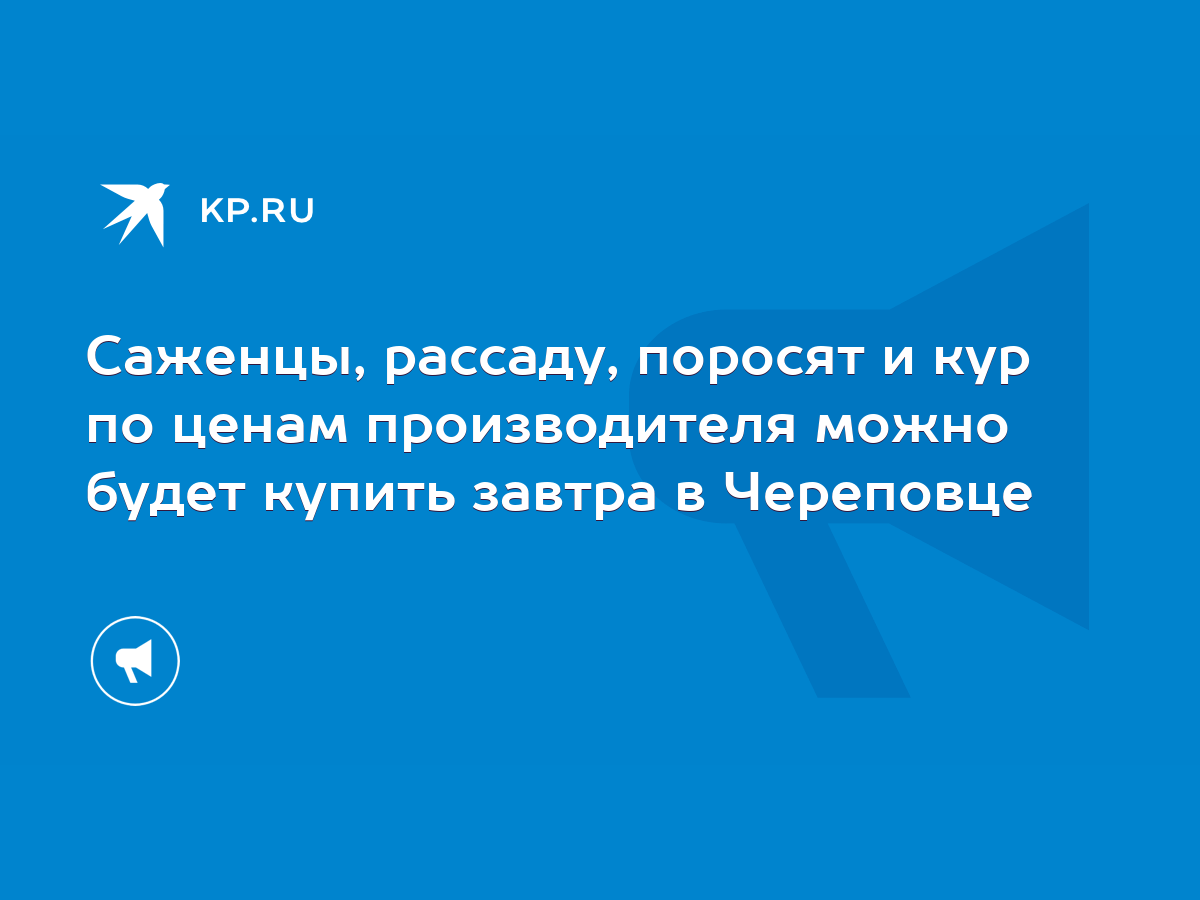 Саженцы, рассаду, поросят и кур по ценам производителя можно будет купить  завтра в Череповце - KP.RU