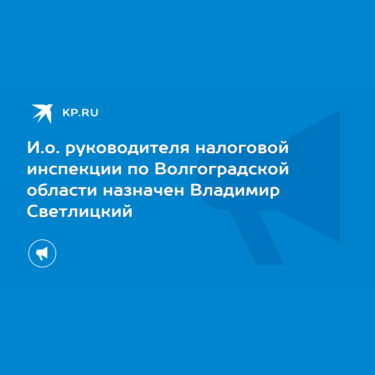 И.о. руководителя налоговой инспекции по Волгоградской области назначен  Владимир Светлицкий - KP.RU