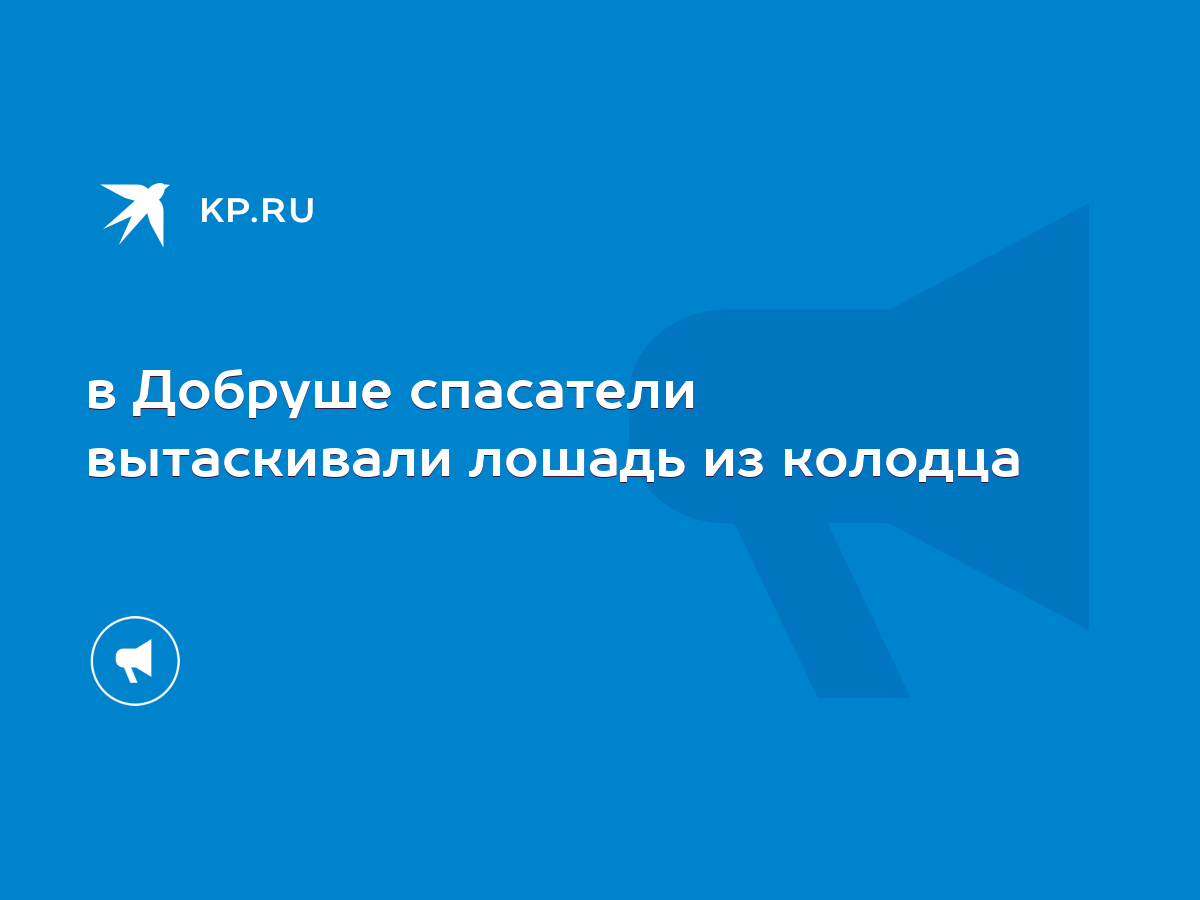 в Добруше спасатели вытаскивали лошадь из колодца - KP.RU