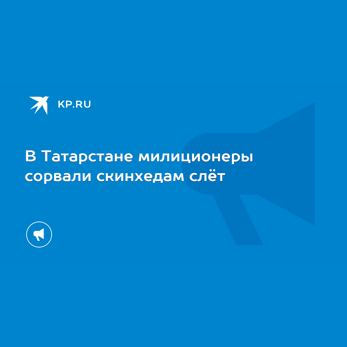 В Татарстане милиционеры сорвали скинхедам слёт - KP.RU