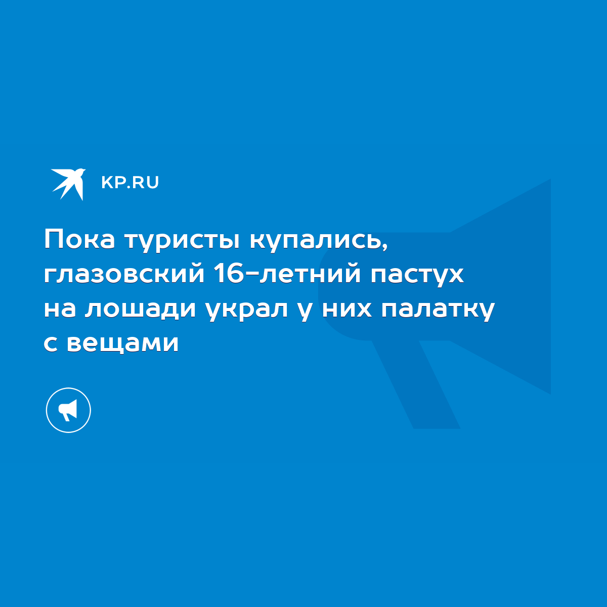 Пока туристы купались, глазовский 16-летний пастух на лошади украл у них  палатку с вещами - KP.RU