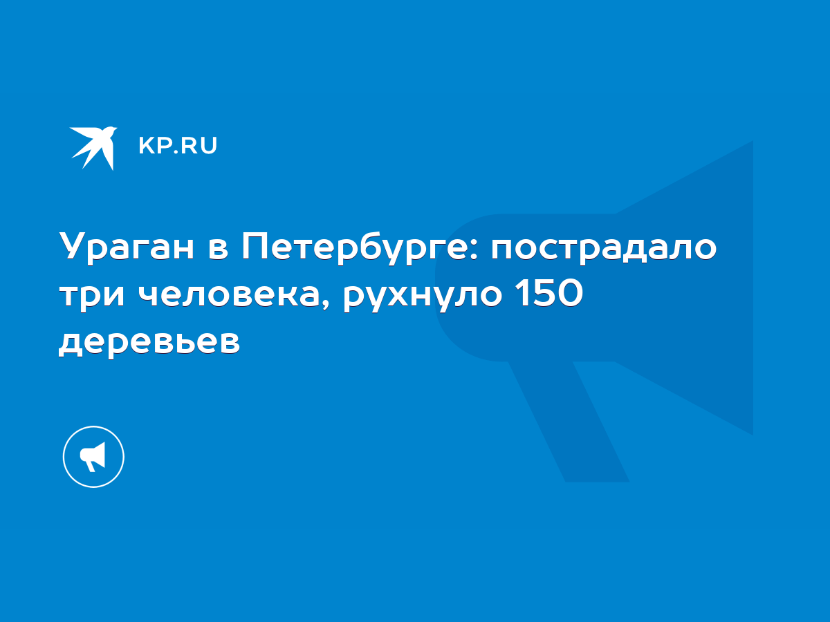 Ураган в Петербурге: пострадало три человека, рухнуло 150 деревьев - KP.RU