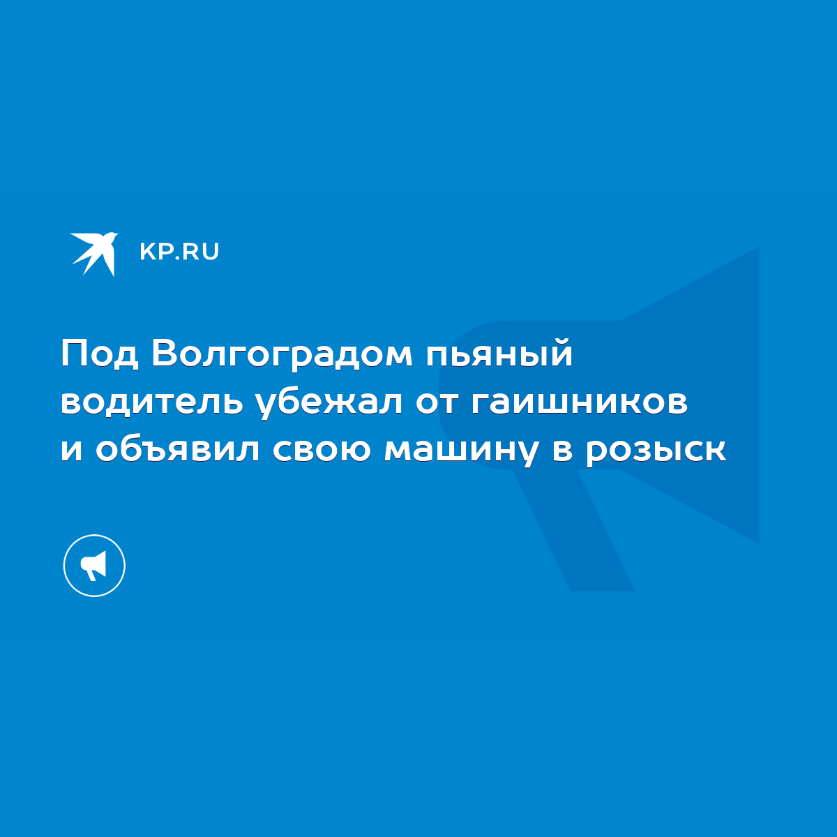 Под Волгоградом пьяный водитель убежал от гаишников и объявил свою машину в  розыск - KP.RU