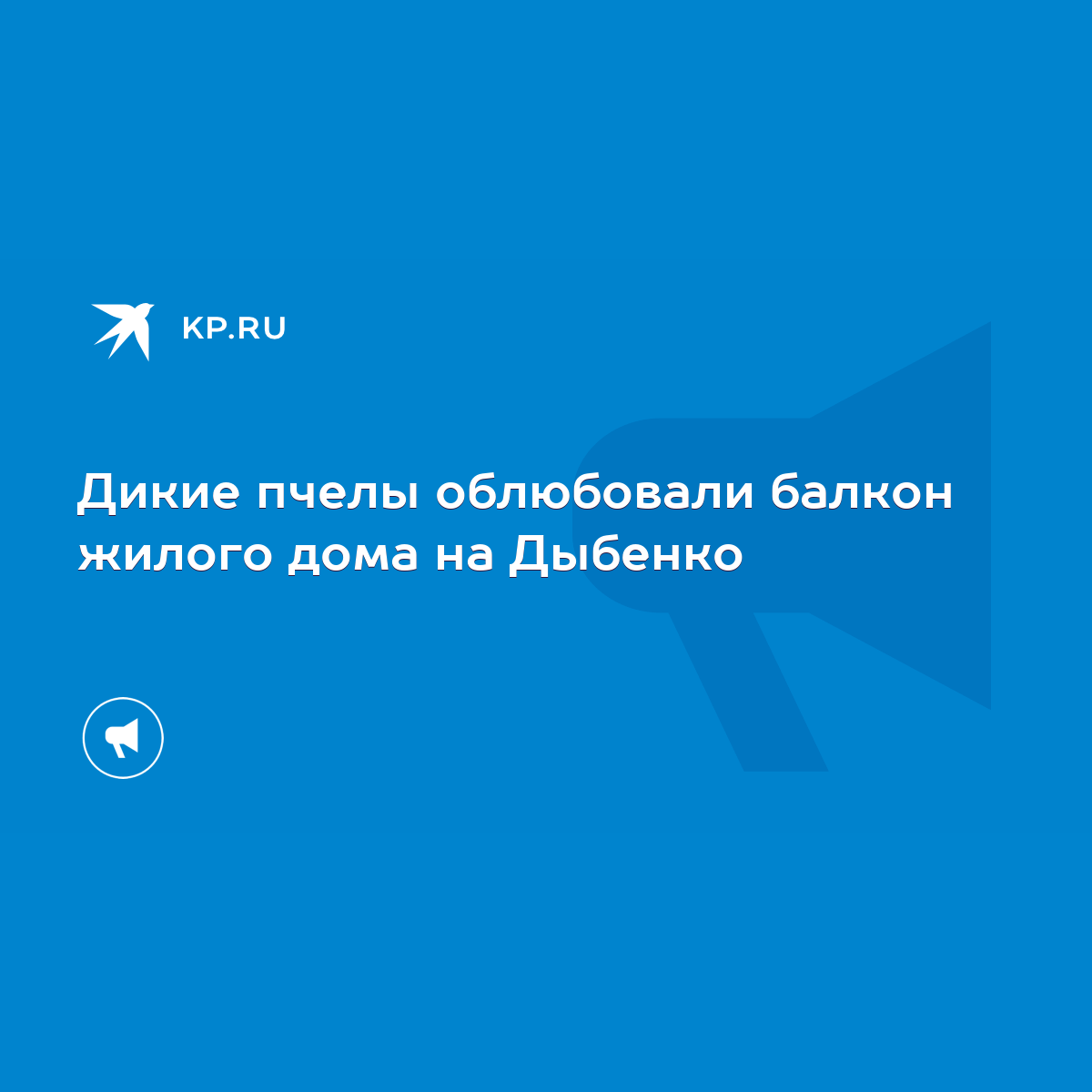 Дикие пчелы облюбовали балкон жилого дома на Дыбенко - KP.RU