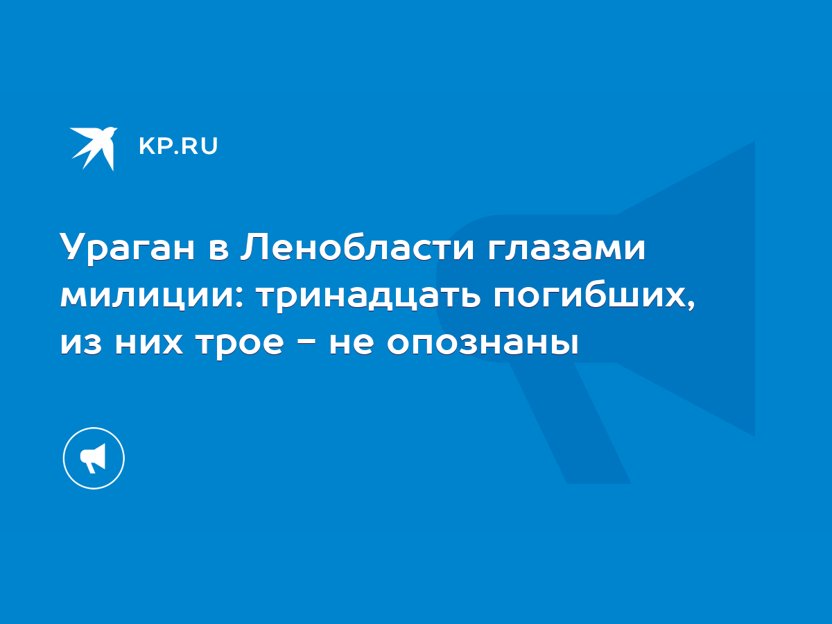 Ураган в Ленобласти глазами милиции: тринадцать погибших, из них трое - не  опознаны - KP.RU