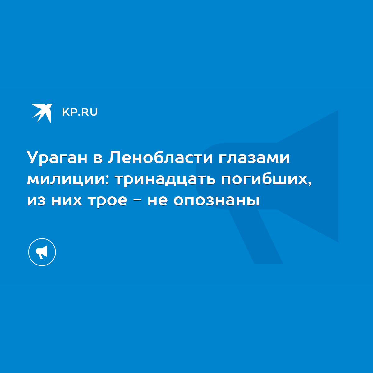 Ураган в Ленобласти глазами милиции: тринадцать погибших, из них трое - не  опознаны - KP.RU