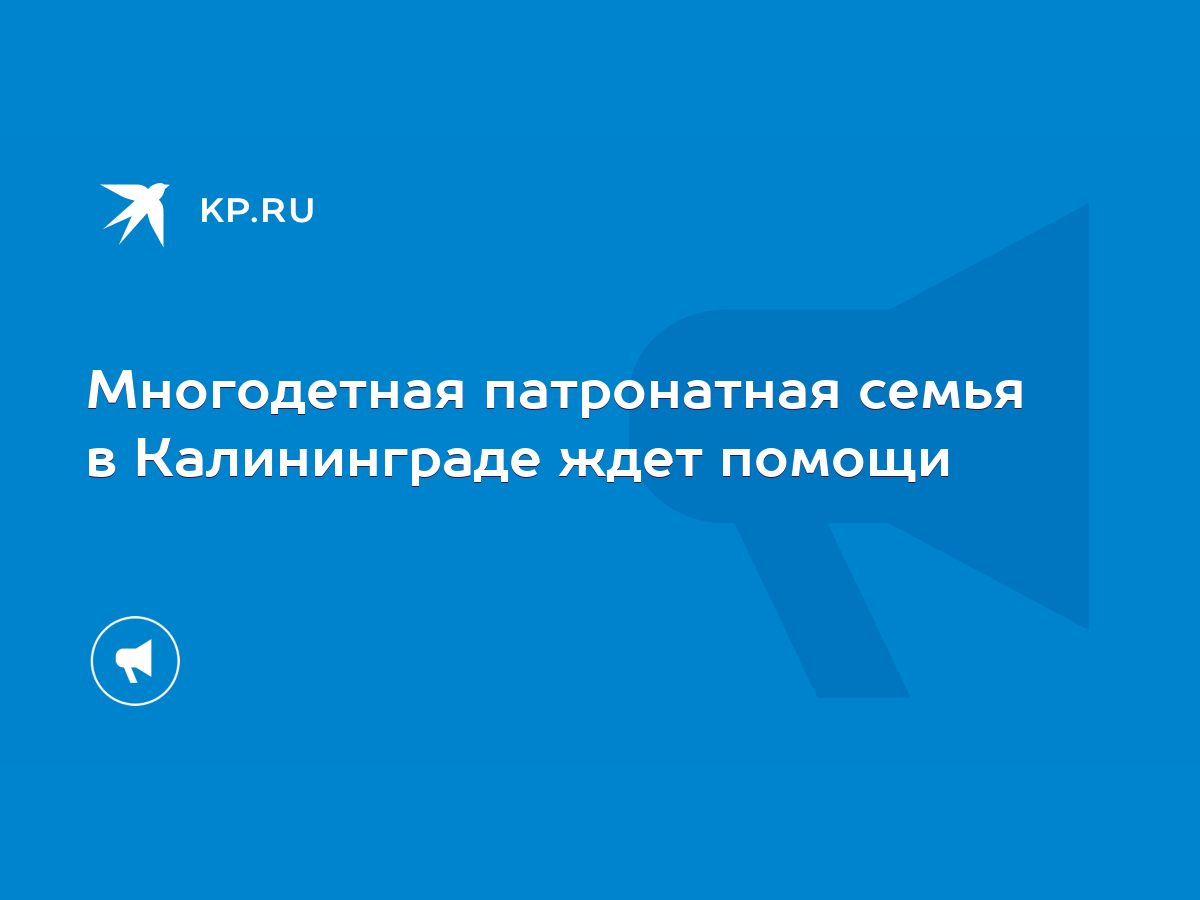 Многодетная патронатная семья в Калининграде ждет помощи - KP.RU