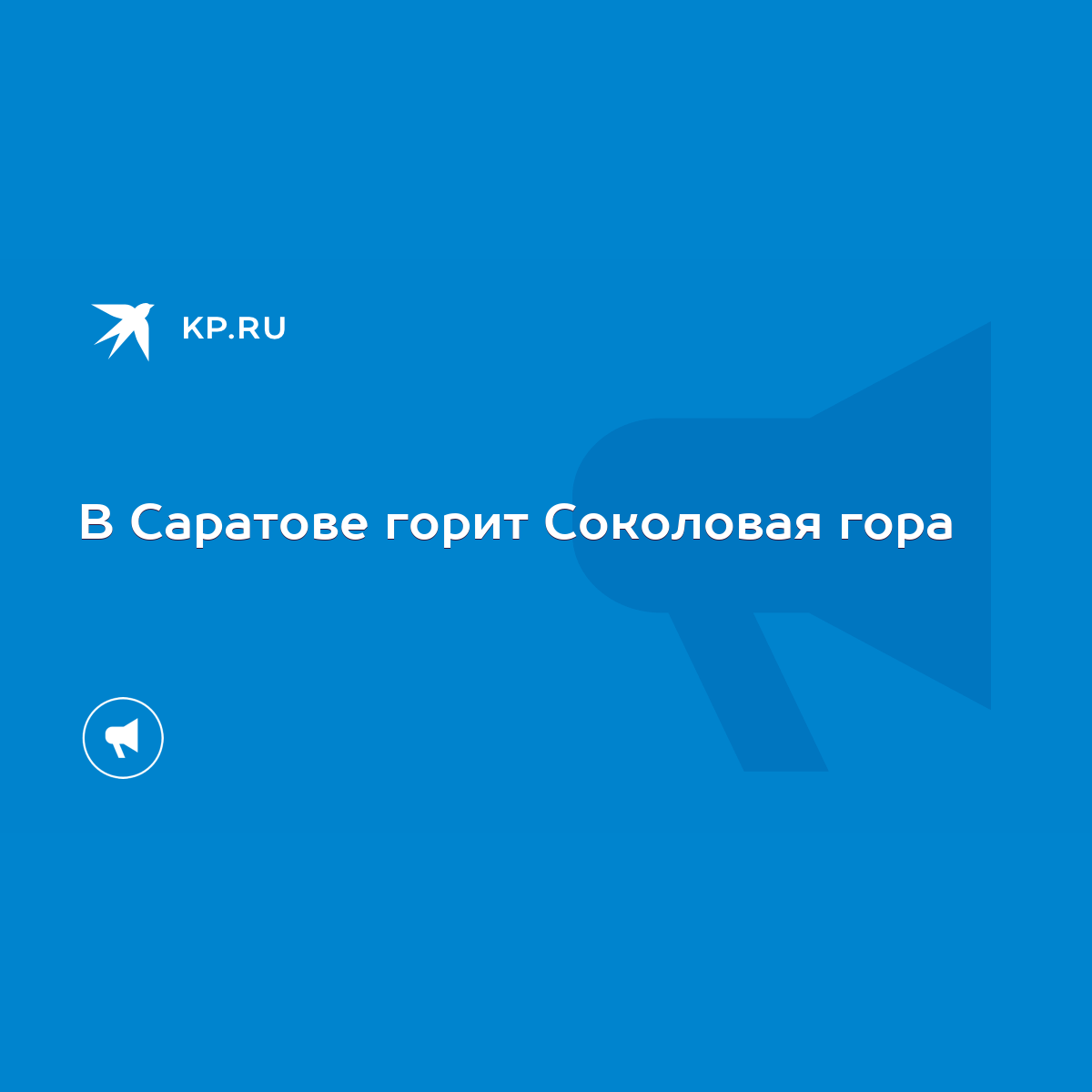 В Саратове горит Соколовая гора - KP.RU