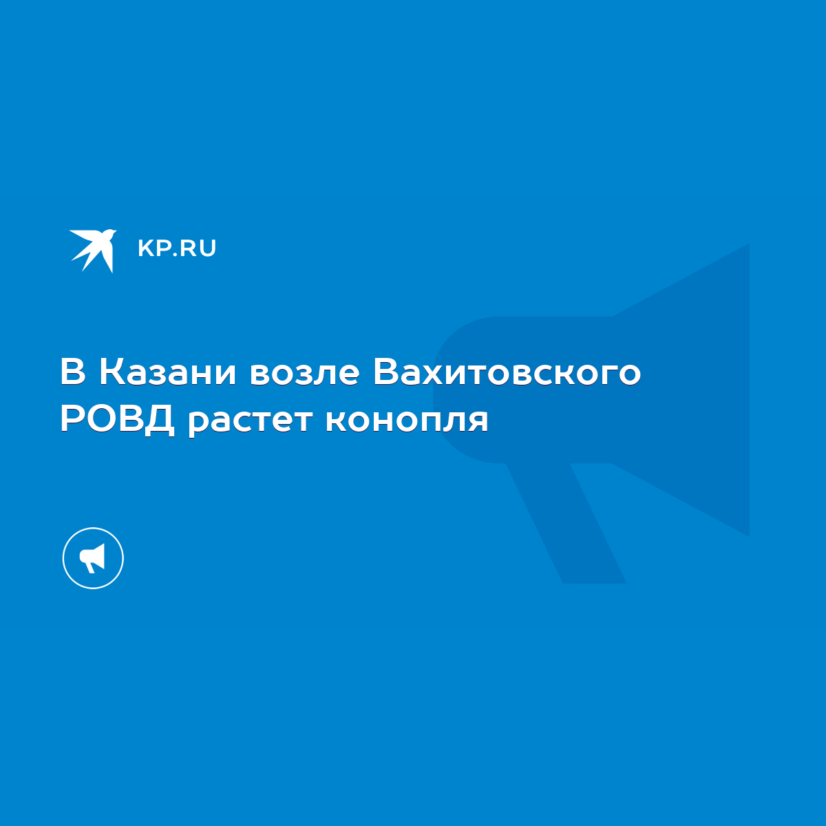 В Казани возле Вахитовского РОВД растет конопля - KP.RU