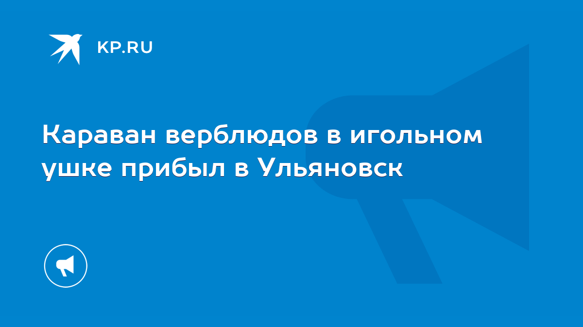 Караван верблюдов в игольном ушке прибыл в Ульяновск - KP.RU