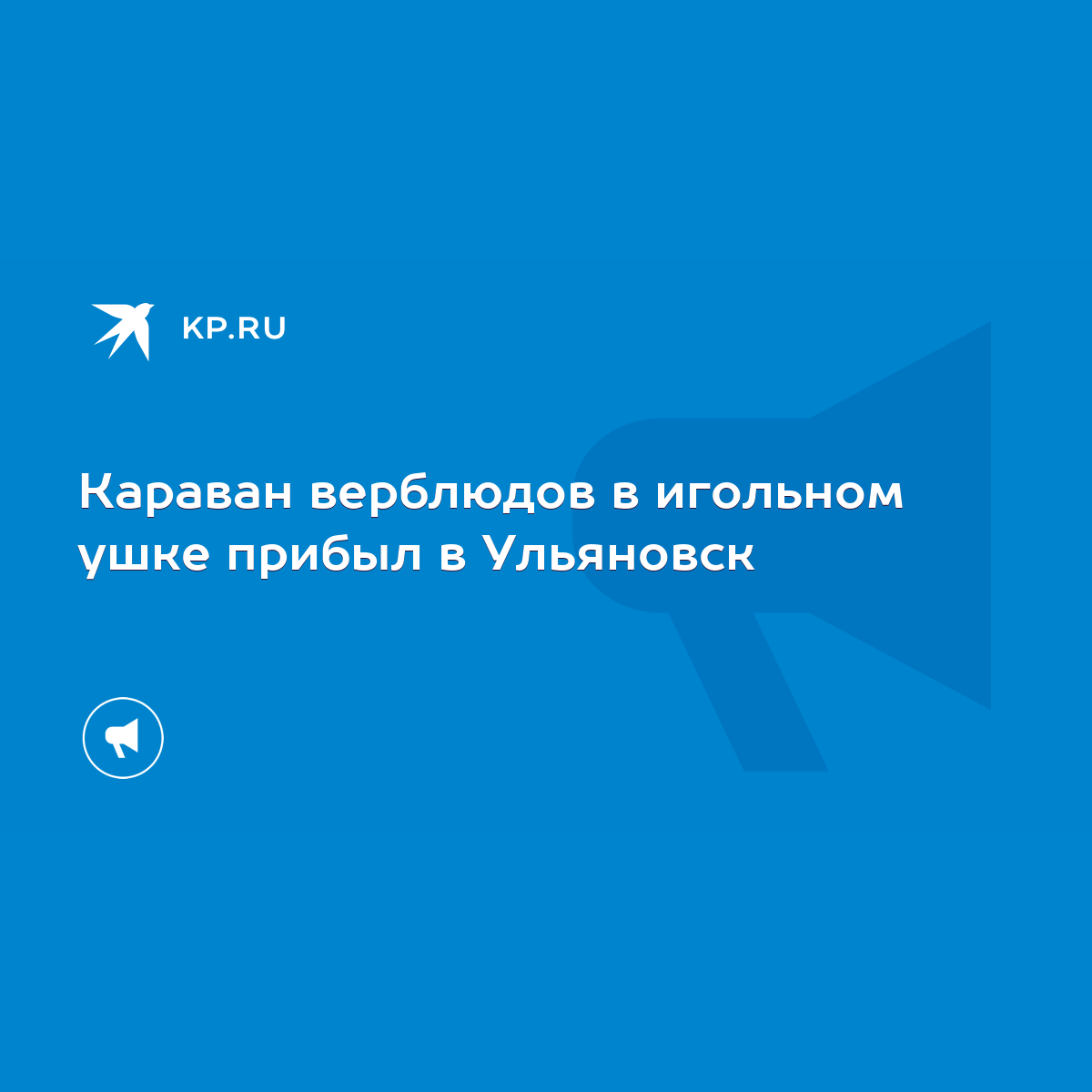 Караван верблюдов в игольном ушке прибыл в Ульяновск - KP.RU