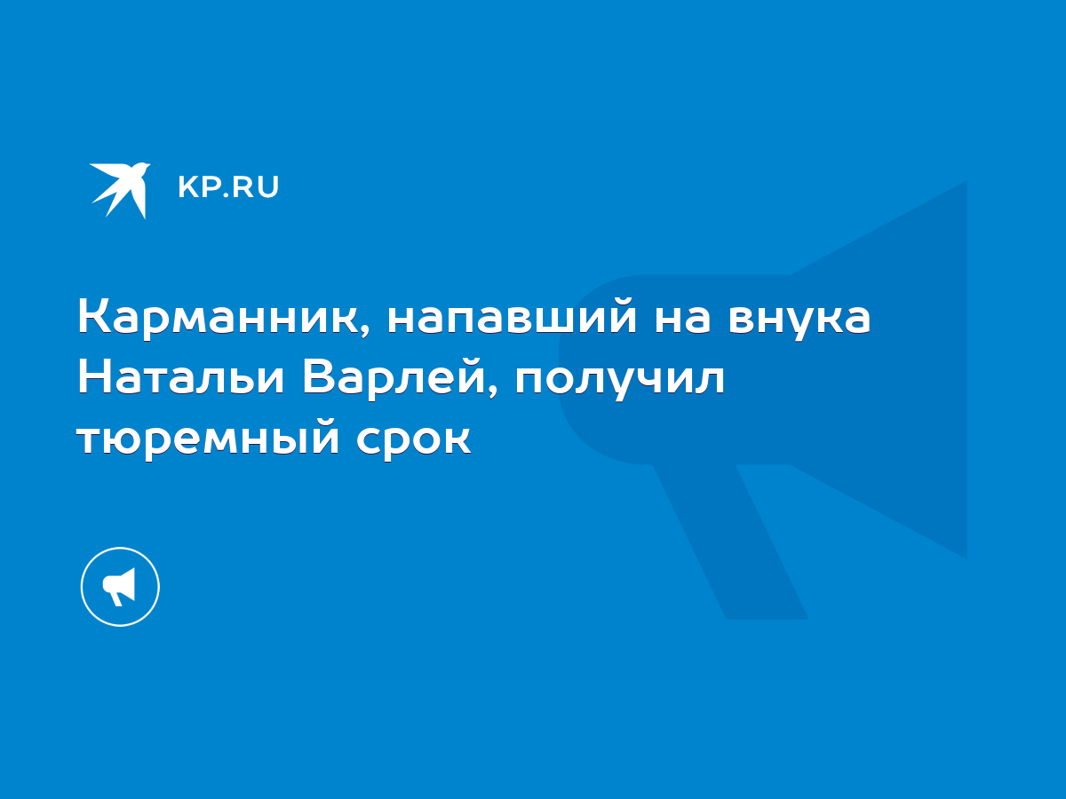 Карманник, напавший на внука Натальи Варлей, получил тюремный срок - KP.RU