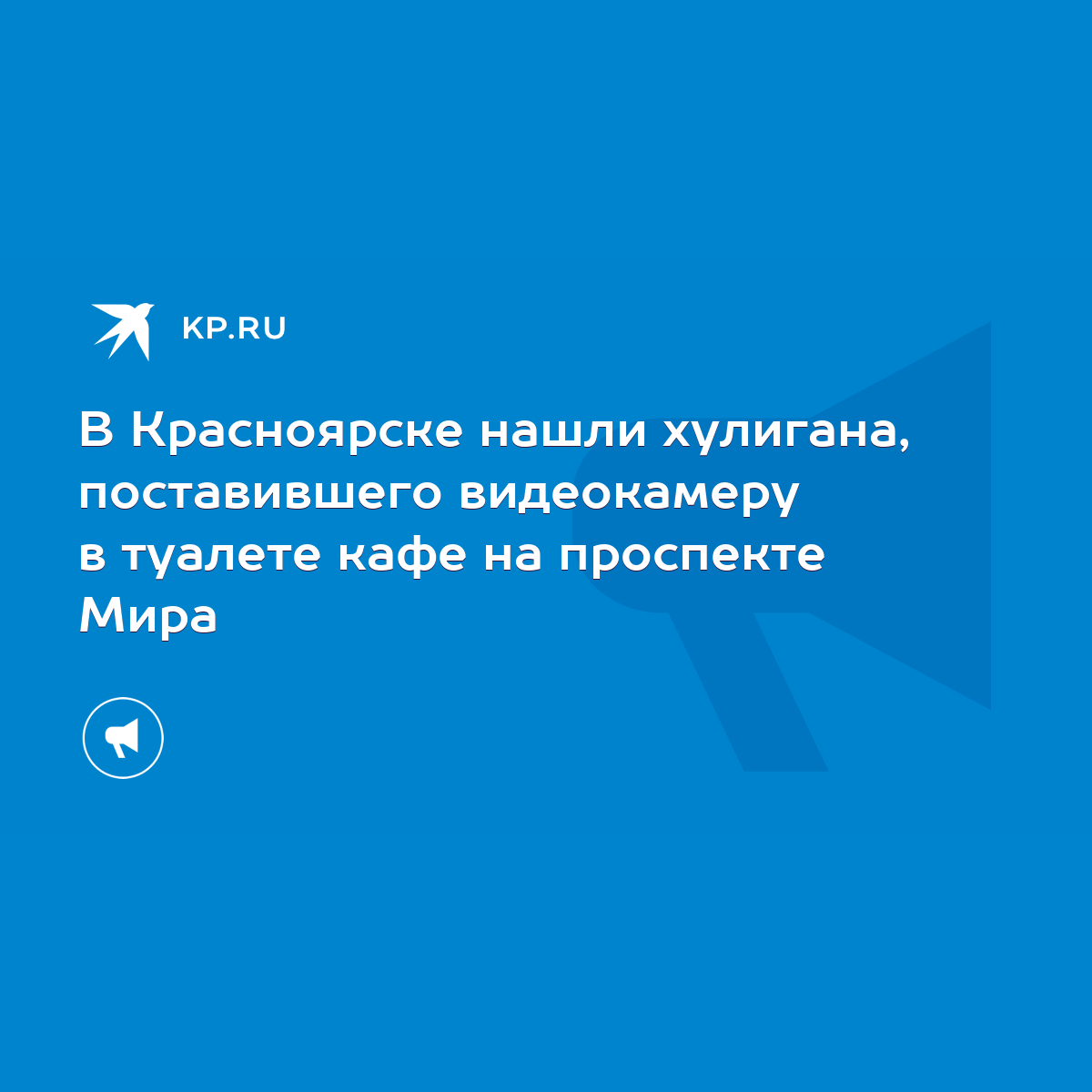 В Красноярске нашли хулигана, поставившего видеокамеру в туалете кафе на  проспекте Мира - KP.RU