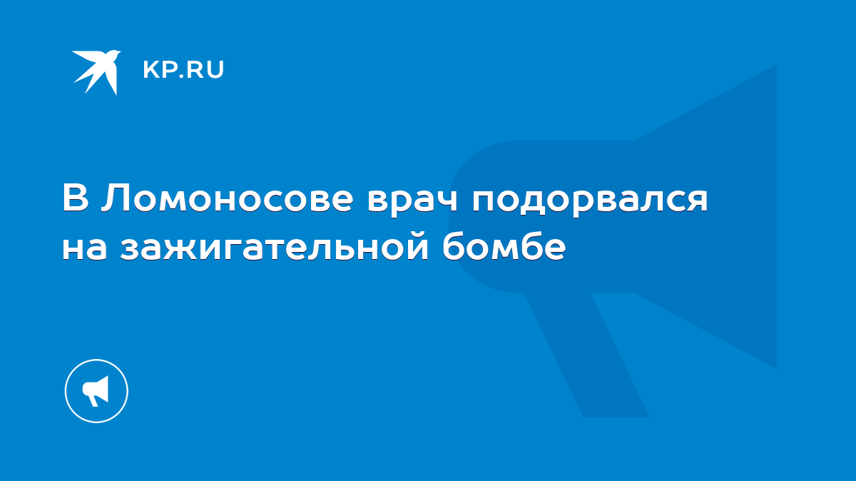 В Ломоносове врач подорвался на зажигательной бомбе - KP.RU