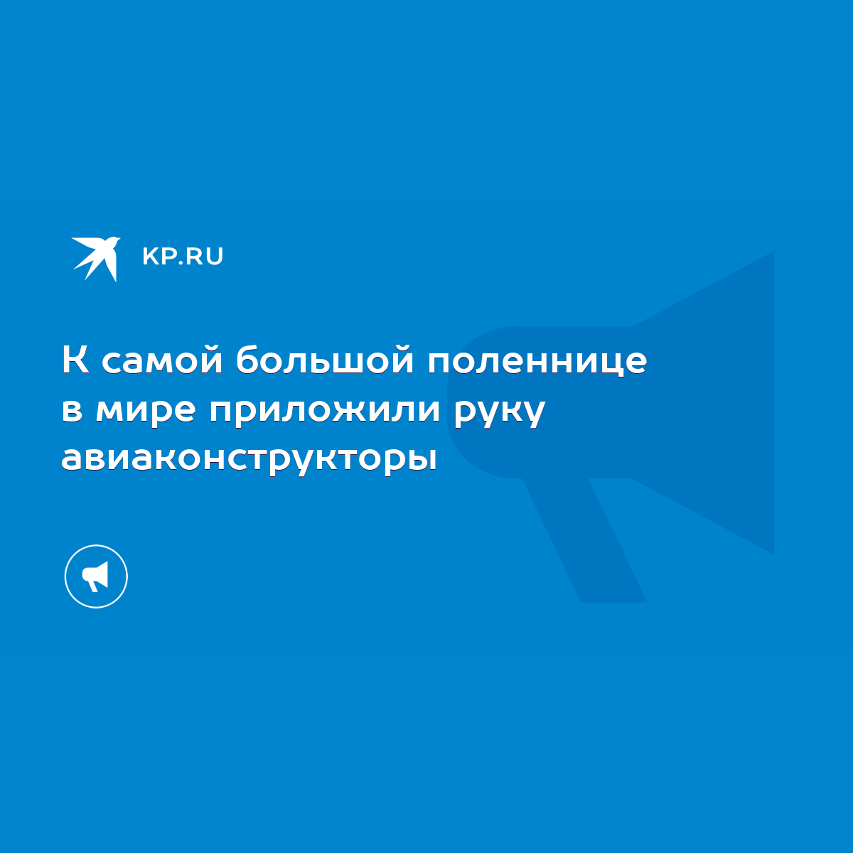 К самой большой поленнице в мире приложили руку авиаконструкторы - KP.RU