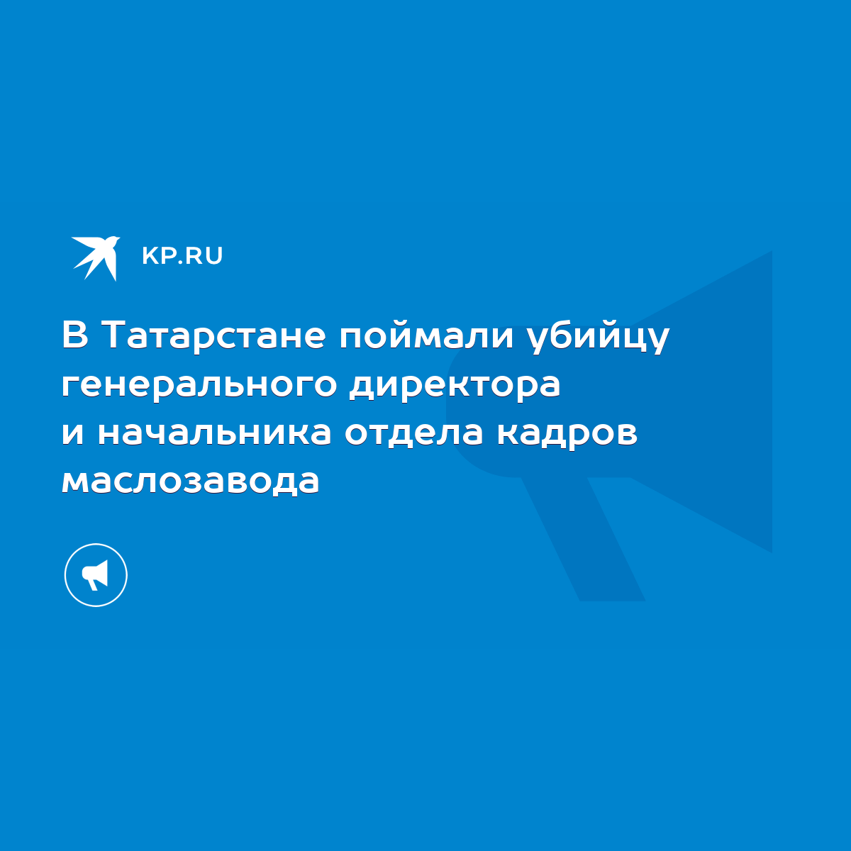 В Татарстане поймали убийцу генерального директора и начальника отдела  кадров маслозавода - KP.RU