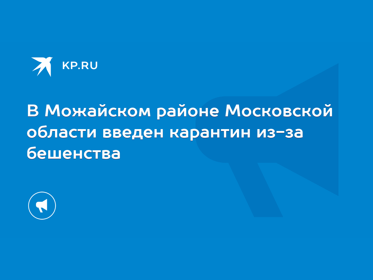 В Можайском районе Московской области введен карантин из-за бешенства -  KP.RU