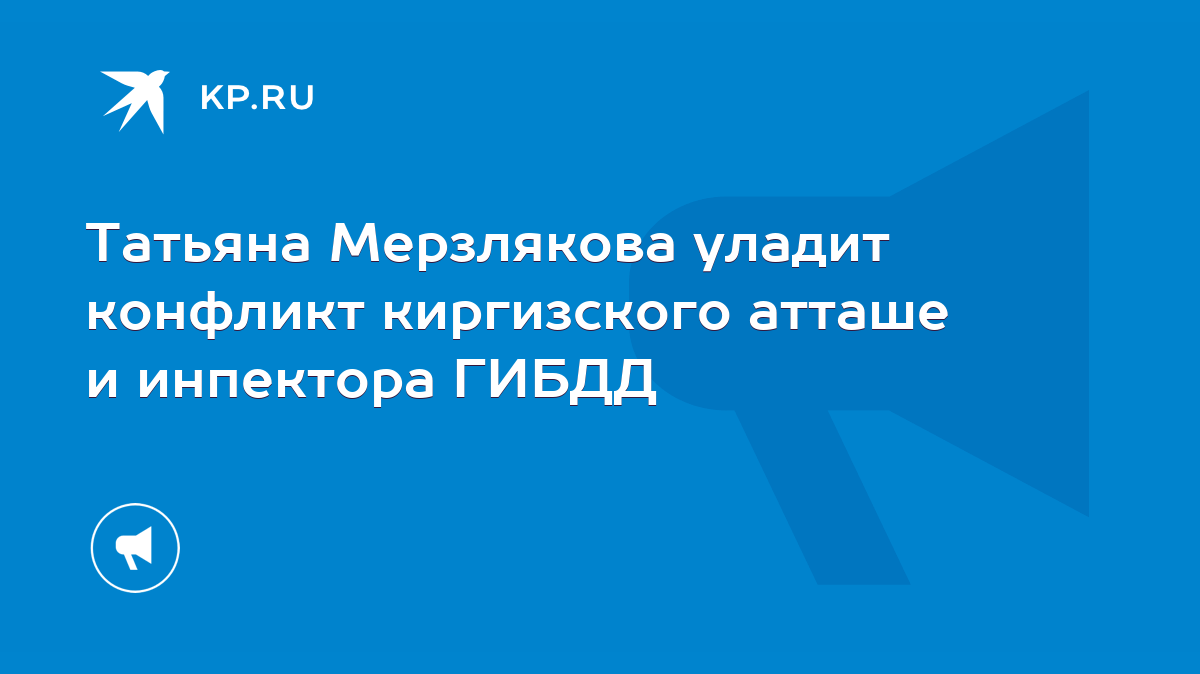 Татьяна Мерзлякова уладит конфликт киргизского атташе и инпектора ГИБДД -  KP.RU