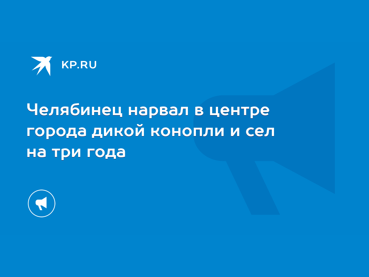 Челябинец нарвал в центре города дикой конопли и сел на три года - KP.RU