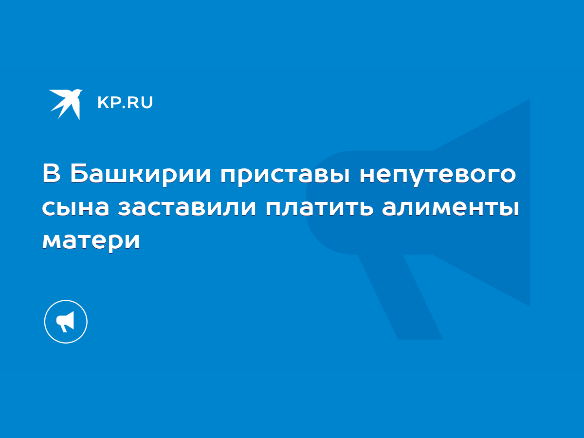 В Башкирии приставы непутевого сына заставили платить алименты матери -  KP.RU