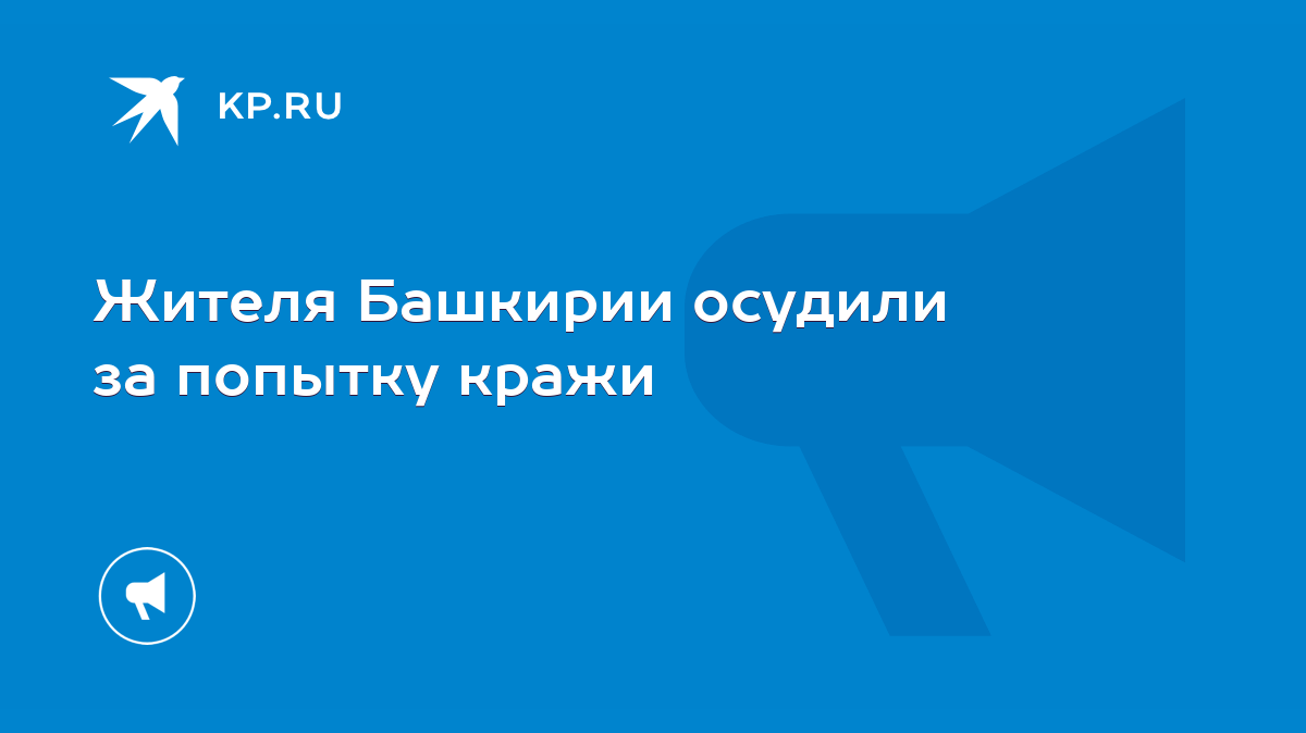 Жителя Башкирии осудили за попытку кражи - KP.RU