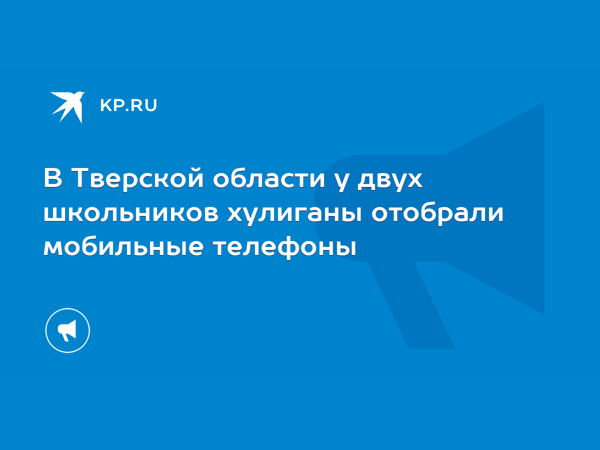 В Тверской области у двух школьников хулиганы отобрали мобильные телефоны -  KP.RU